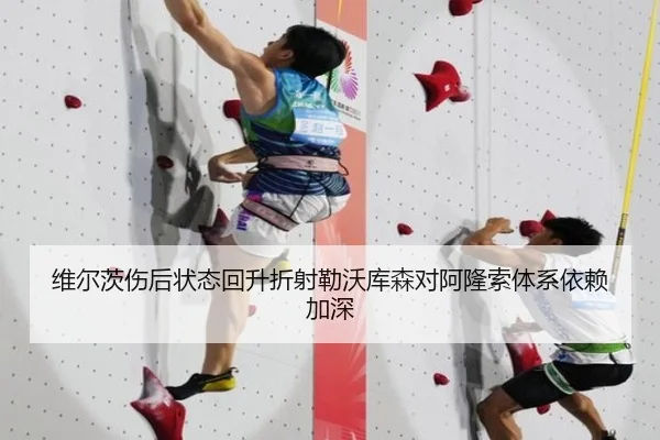 维尔茨伤后状态回升折射勒沃库森对阿隆索体系依赖加深